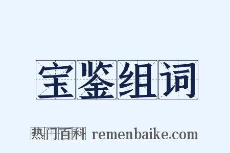 宝鉴组词是什么意思的图片